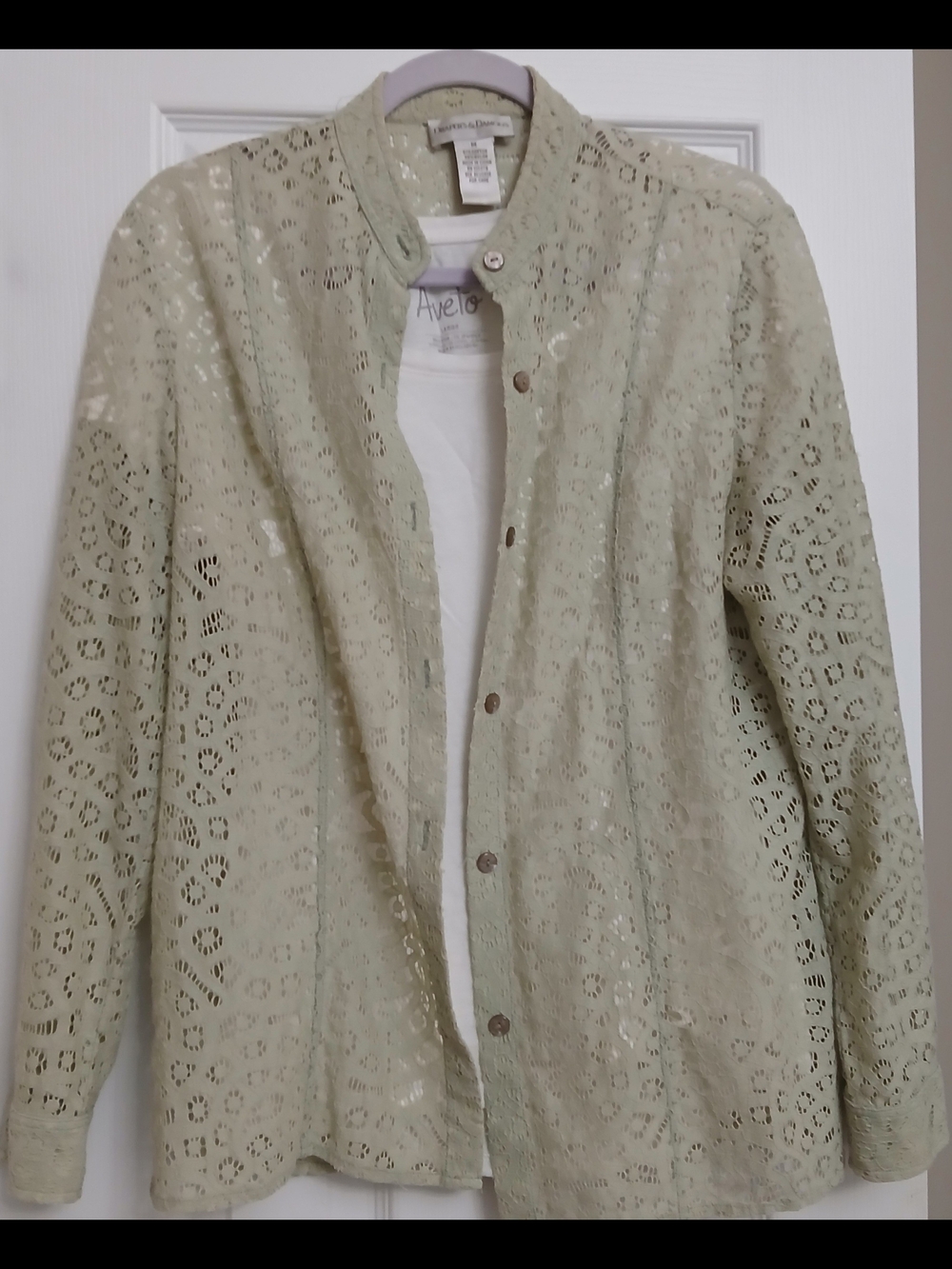 Avenue Lace Button-Front Blouse in Sage